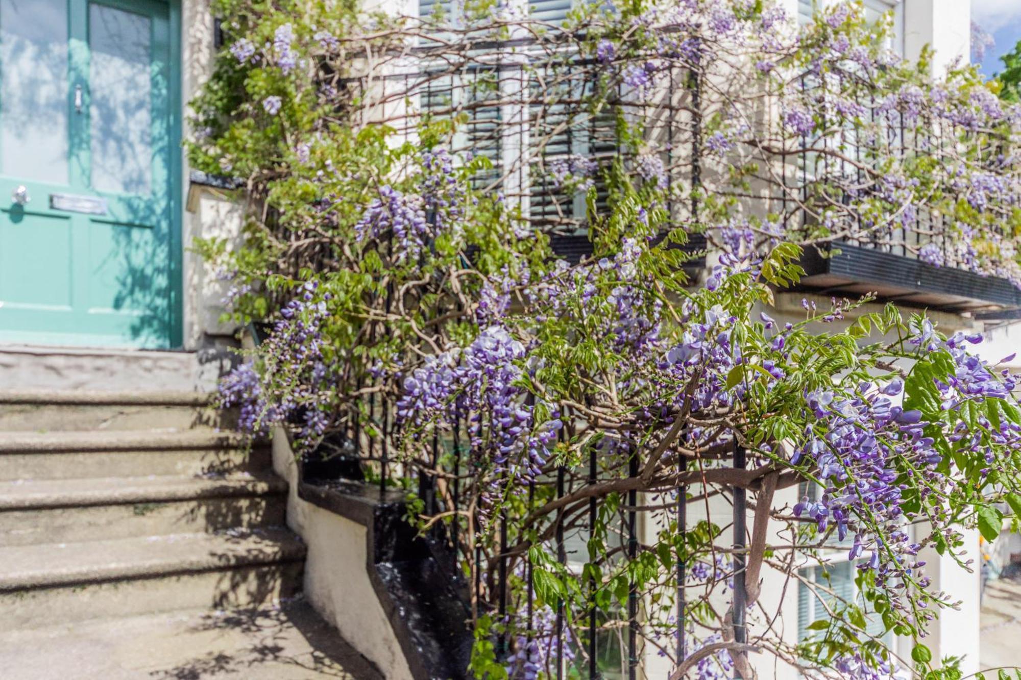 Apartment Primrose Boutique London