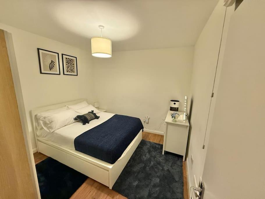 Cozy 1-bedroom Flat Apartment