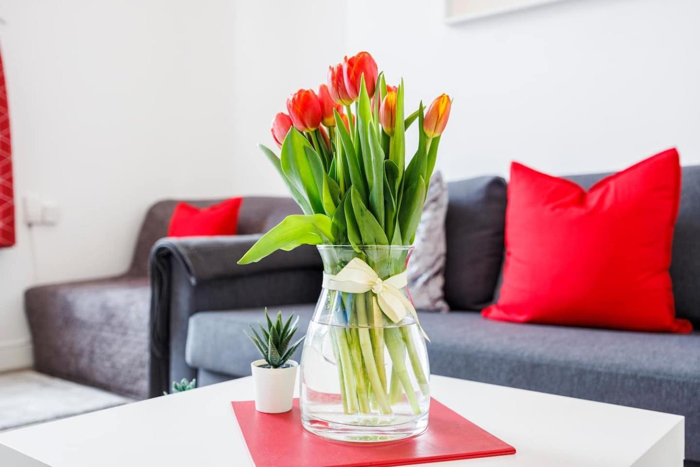 Lägenhet 12 Bed Charming And Bright Flat