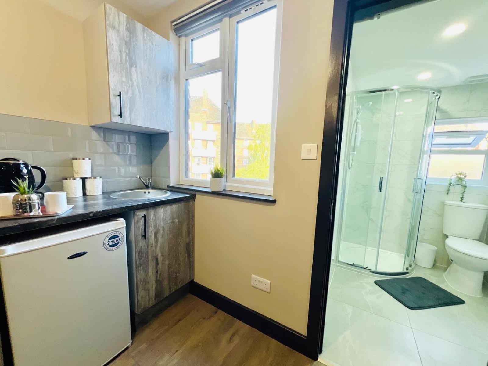 Luxury Flats In London, Ideal For Tourists Lejlighed London