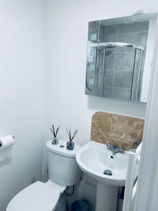 Ivy Two Bedroom & Garden In Temple Fortune Lejlighed *