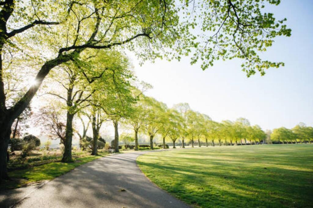 Peacefully Set 2br Near Beautiful Dulwich Park *