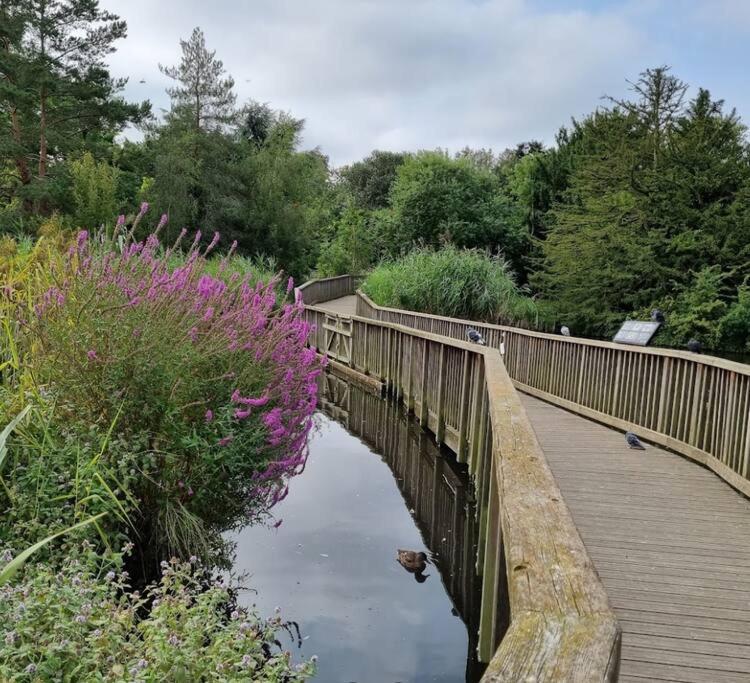 Peacefully Set 2br Near Beautiful Dulwich Park * London
