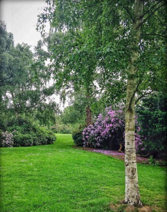 Apartment Peacefully Set 2br Near Beautiful Dulwich Park *
