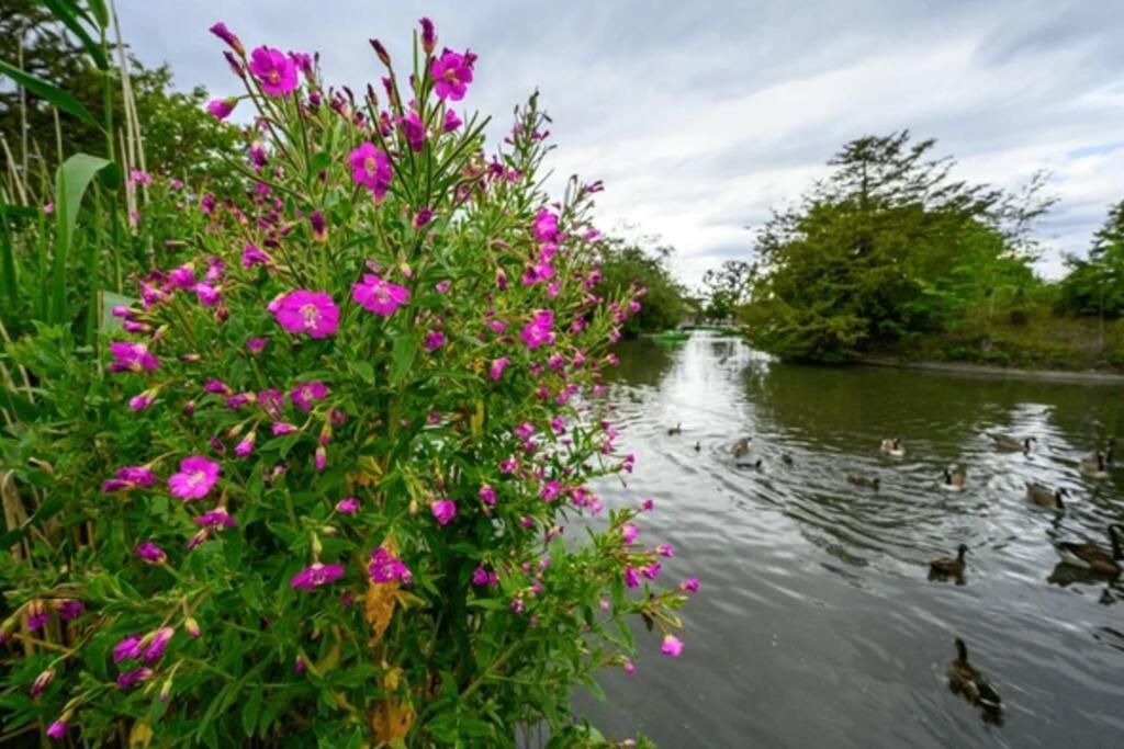 Peacefully Set 2br Near Beautiful Dulwich Park