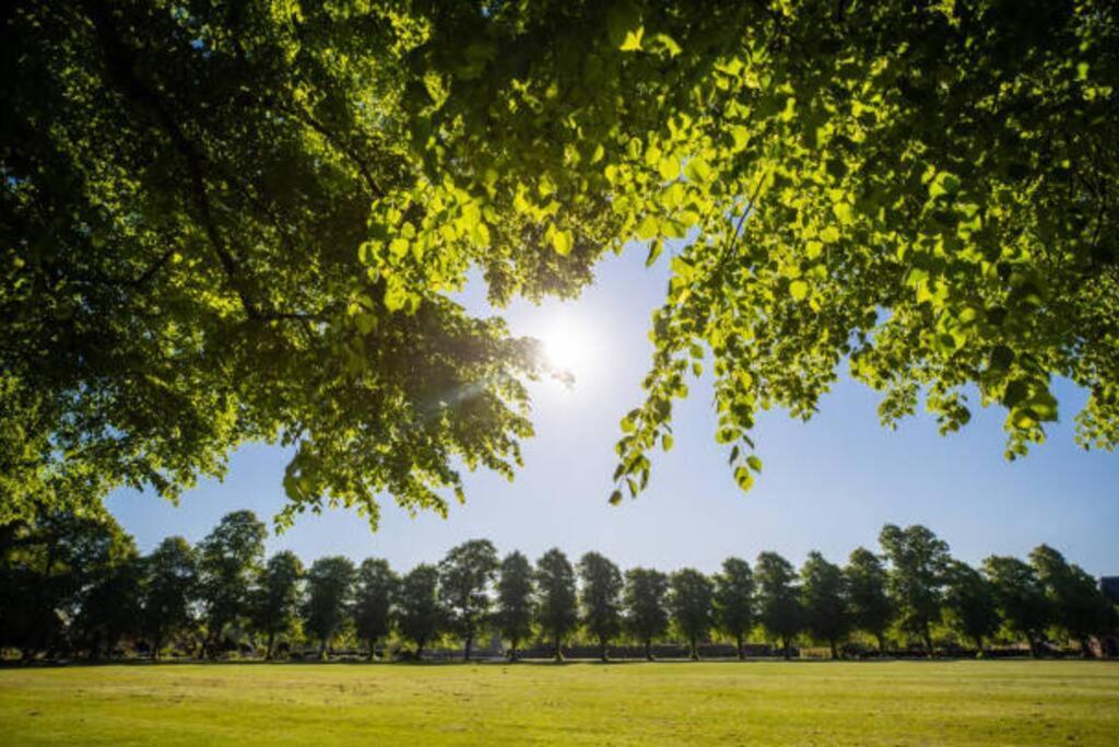 Peacefully Set 2br Near Beautiful Dulwich Park Apartment London
