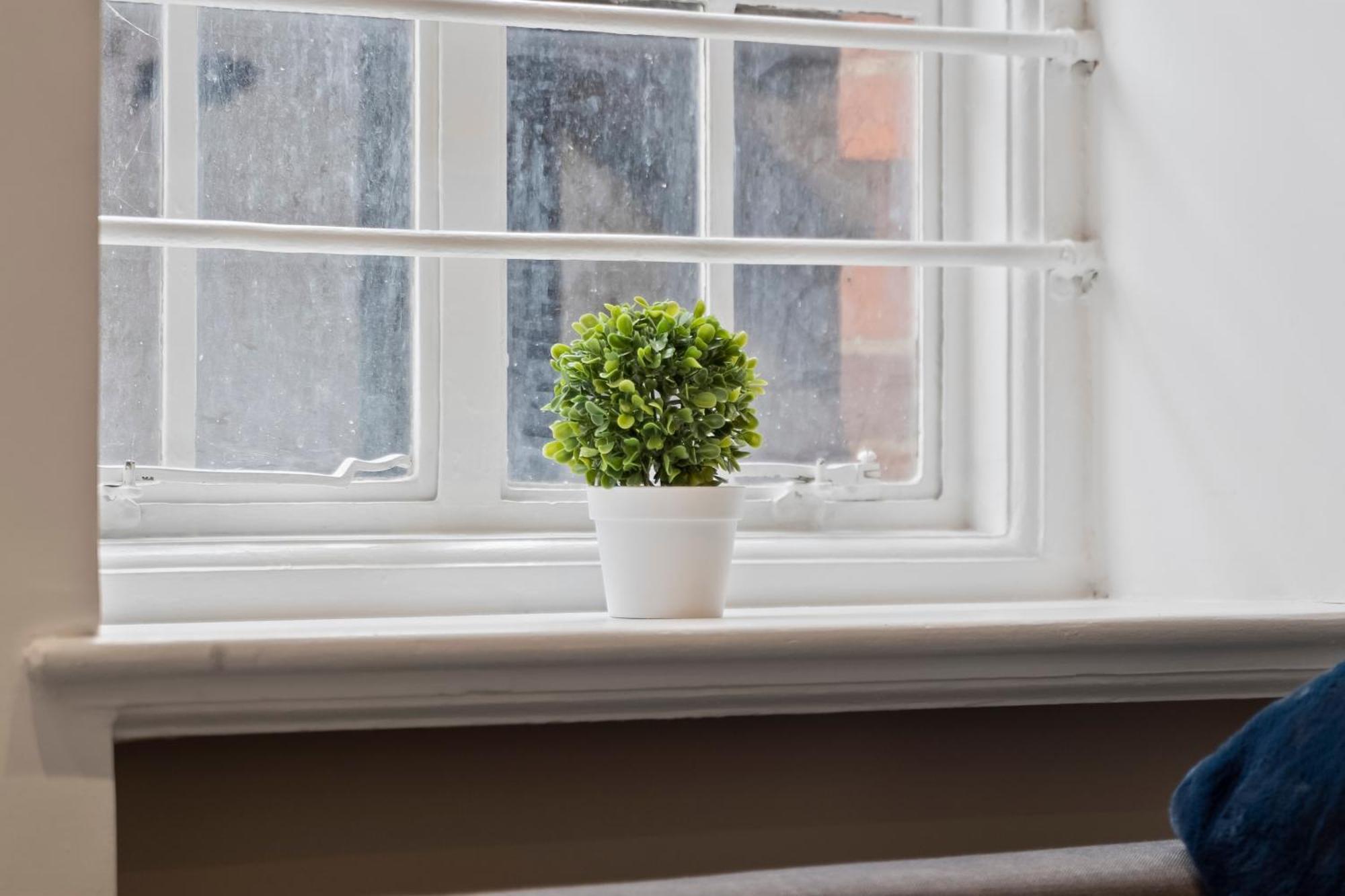 Apartment Cozy Step Away Hyde Park And Oxford Street London