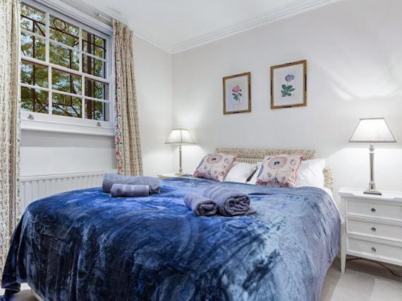 Chelsea Snug With Garden Londen