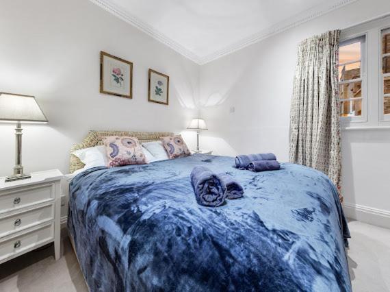 Chelsea Snug With Garden Appartement *
