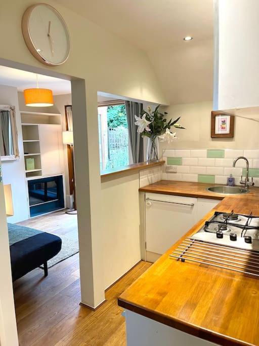 Private Garden Flat Stroud Finsbury Park Appartement Londen