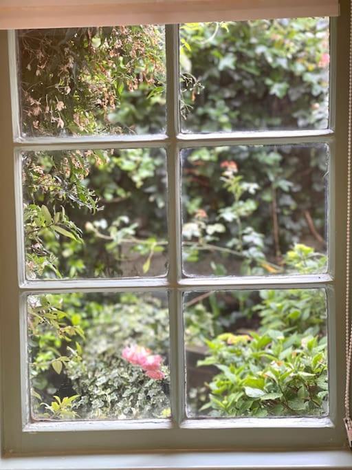 Appartement Private Garden Flat Stroud Finsbury Park Londen