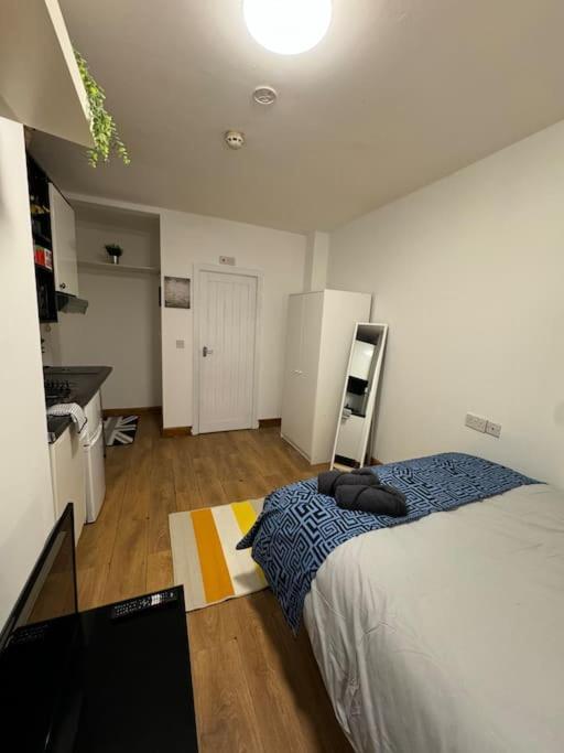 Lejlighed Earls Court Flat *