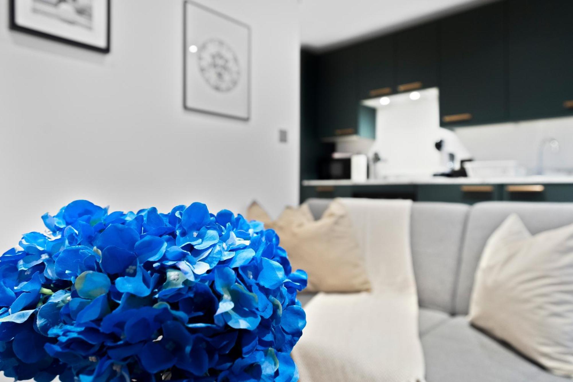 Modern With Free Wifi Appartement