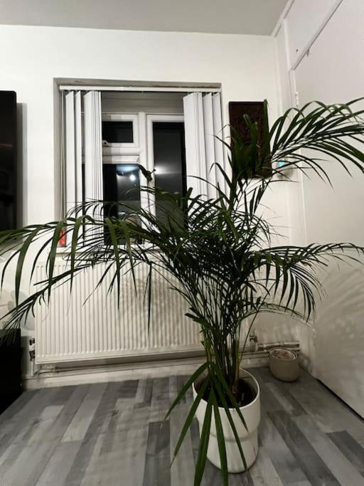 Appartement 1-bed Flat With Fast Wi-fi In Prime Location 15mins From Londen