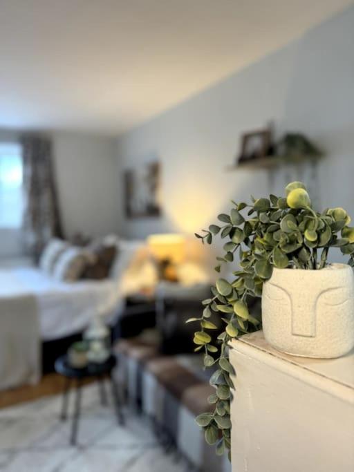 Charming Garden Hideaway! Apartment
