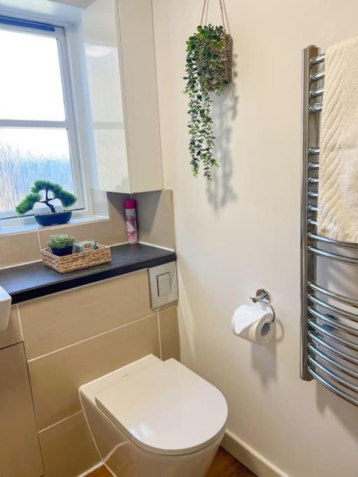 Cosy & Modern Flat In Islington- 15 Minute Walk From Emirates Stadium Appartement Londen