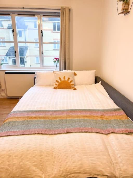 Cosy & Modern Flat In Islington- 15 Minute Walk From Emirates Stadium Londen