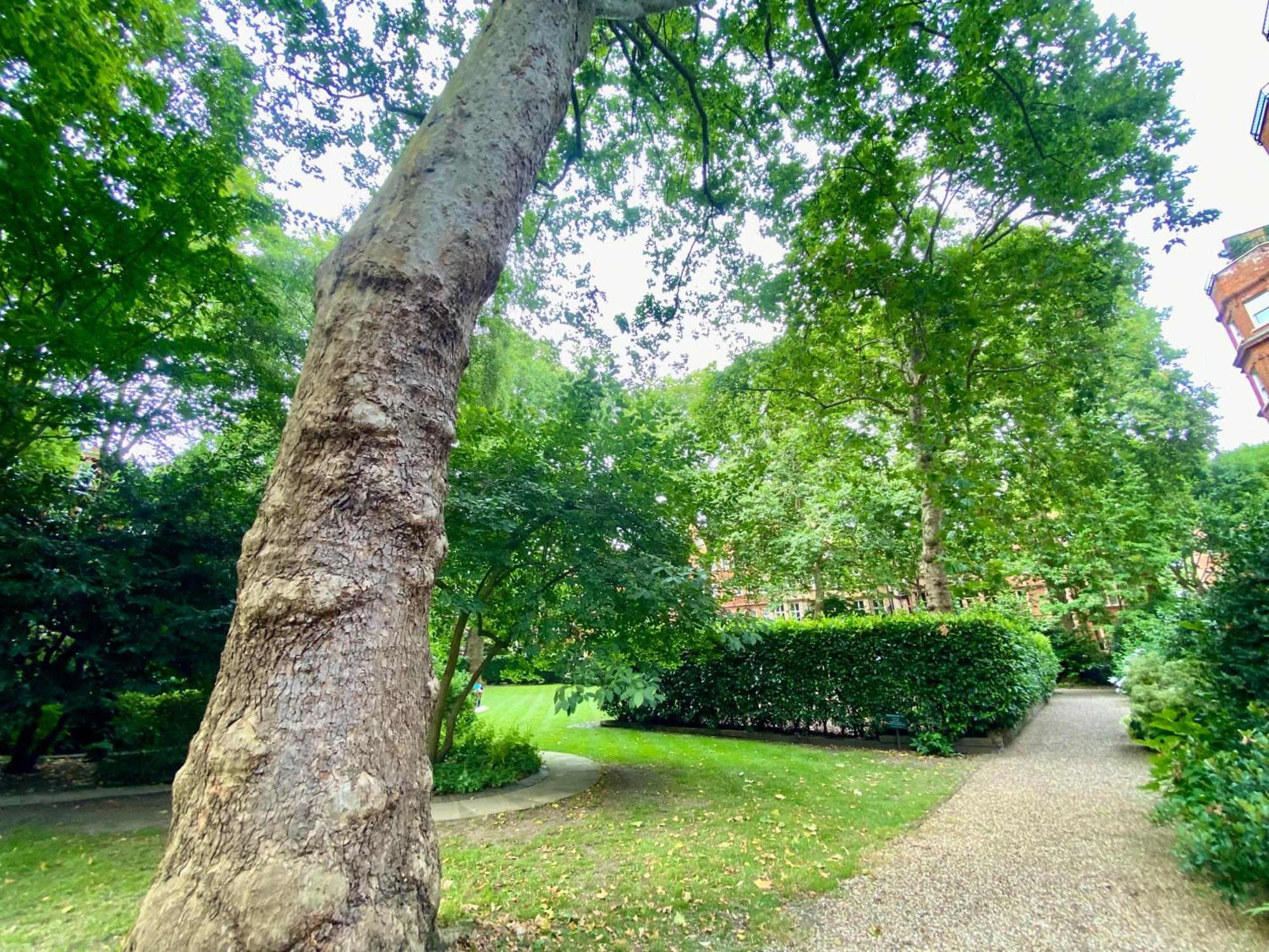 Spacious In Earls Court Apartment *