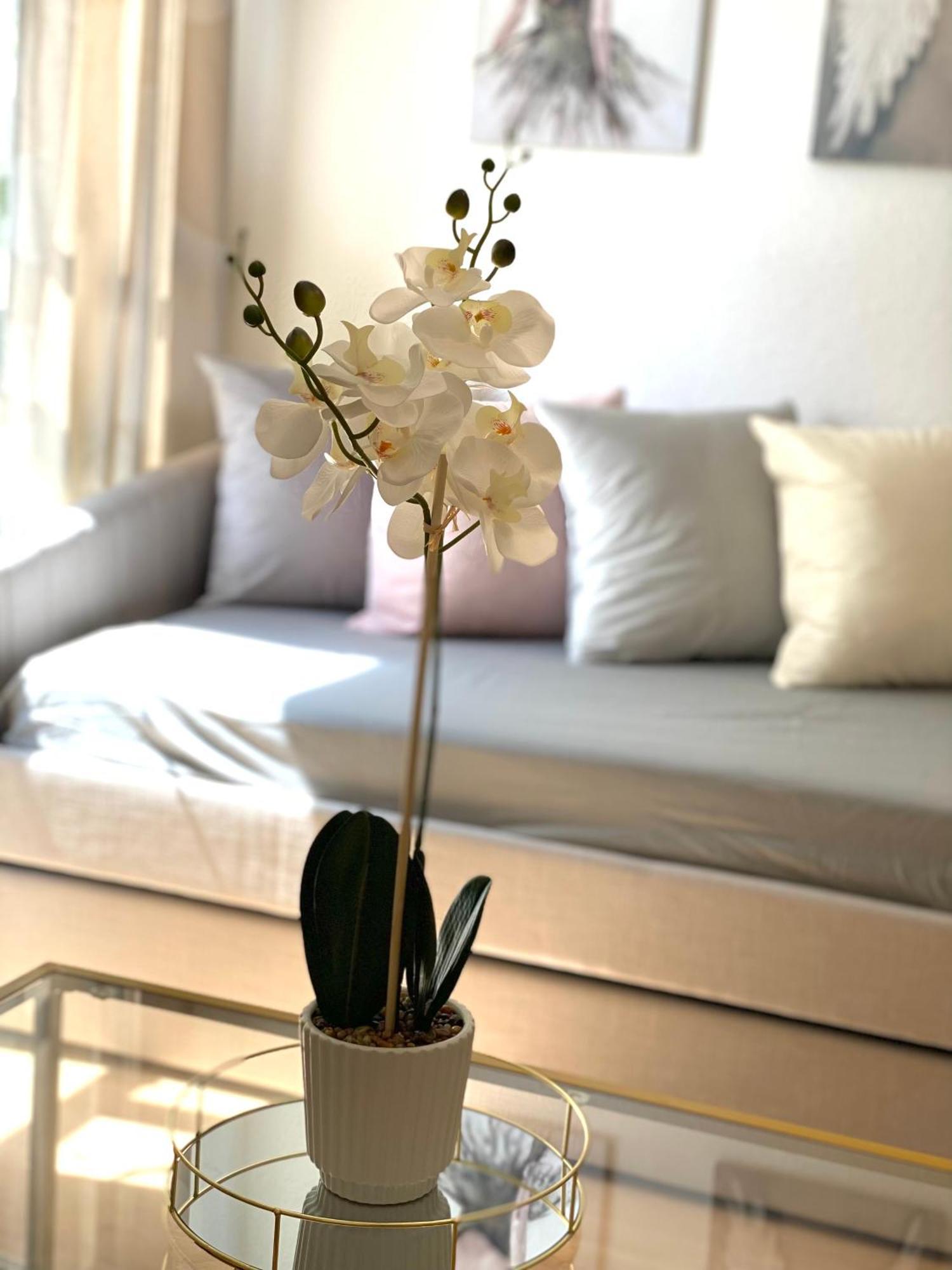 Hyde Park Family Appartement *