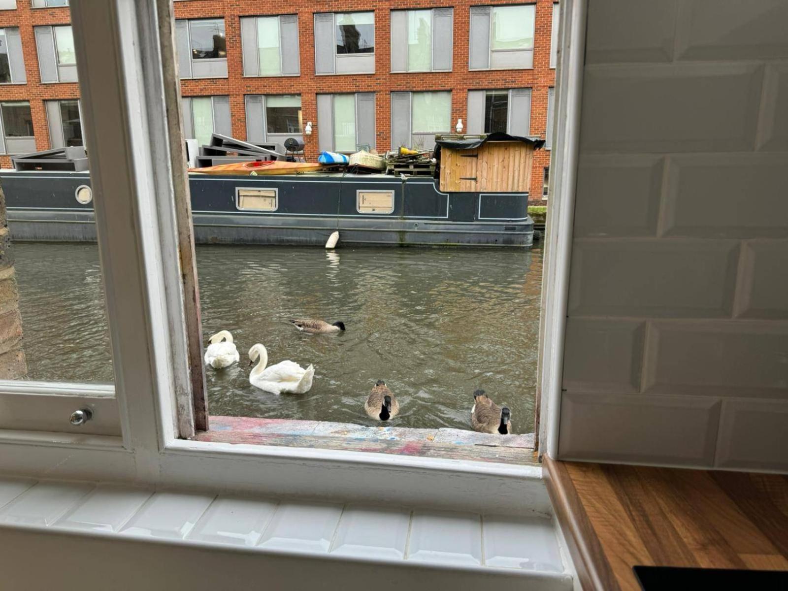 Studio-sleeps3-98ws-petfriendly Appartement *