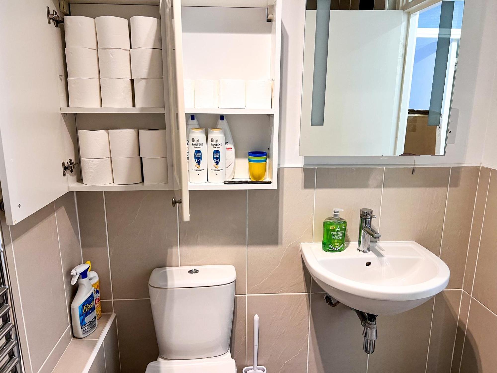 Great River Thames View Entire In The Most Central Aparthotel London