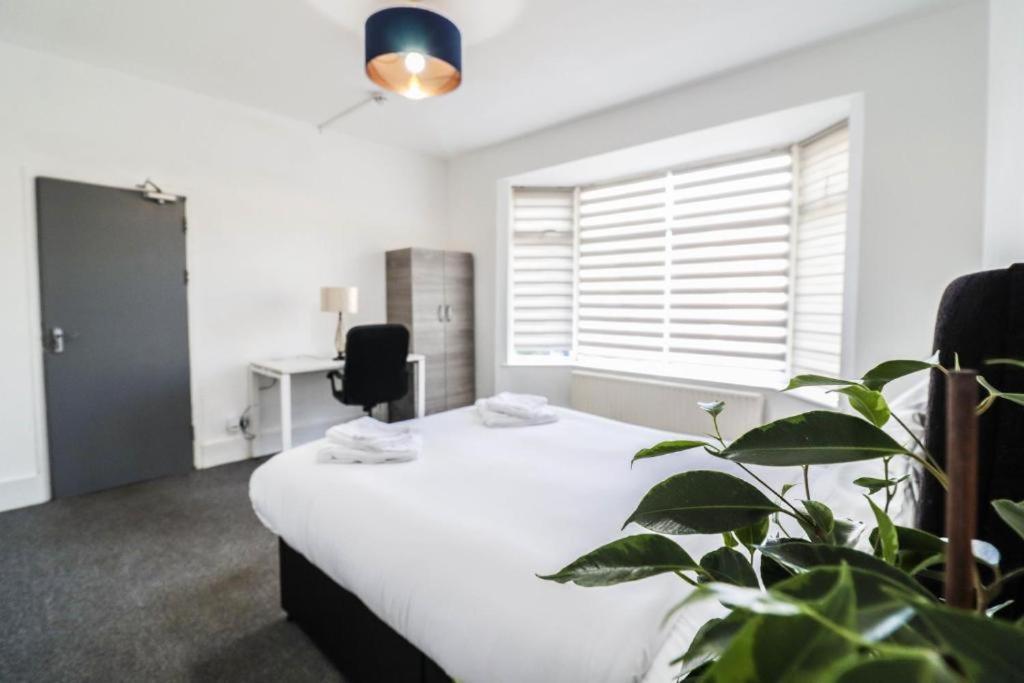 Urban Oasis Bed & Breakfast