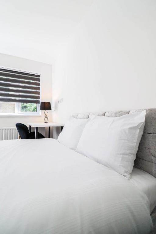 Urban Oasis Bed & Breakfast