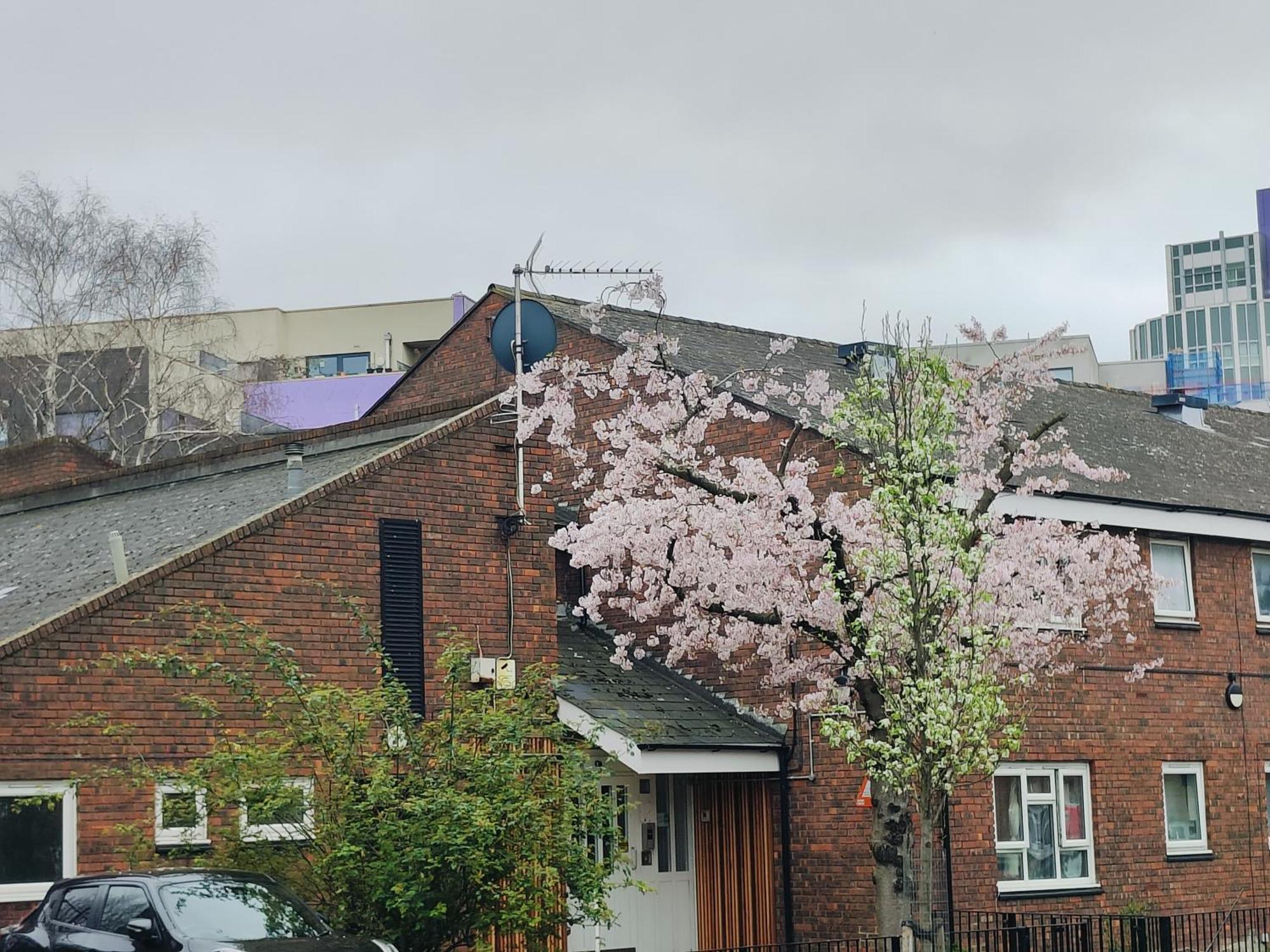 Clifton House O2 & Excel With Private Bathroom And Breakfast Option Bed & Breakfast