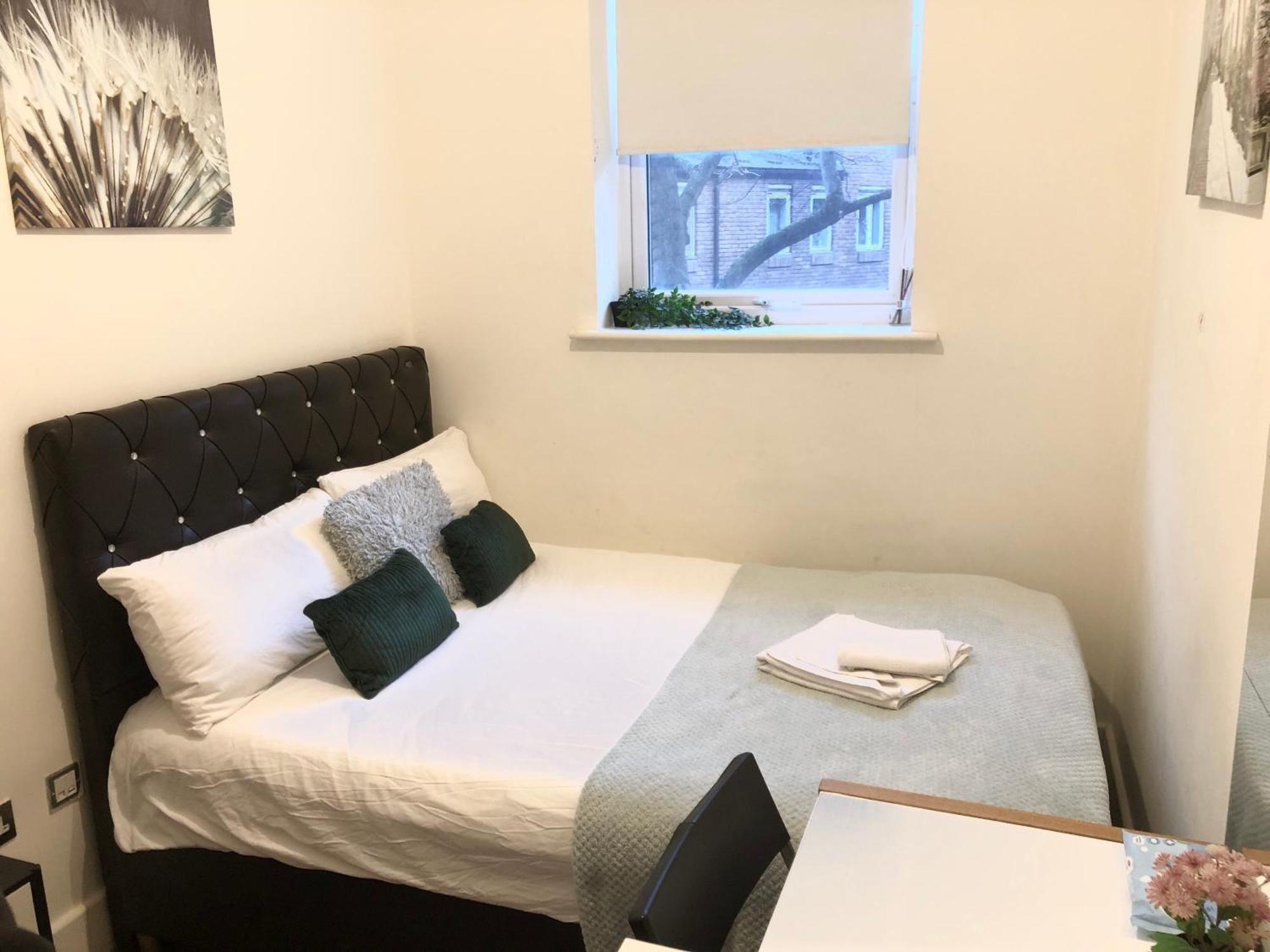 Euston Private Bedrooms 161 Flat1 Londra