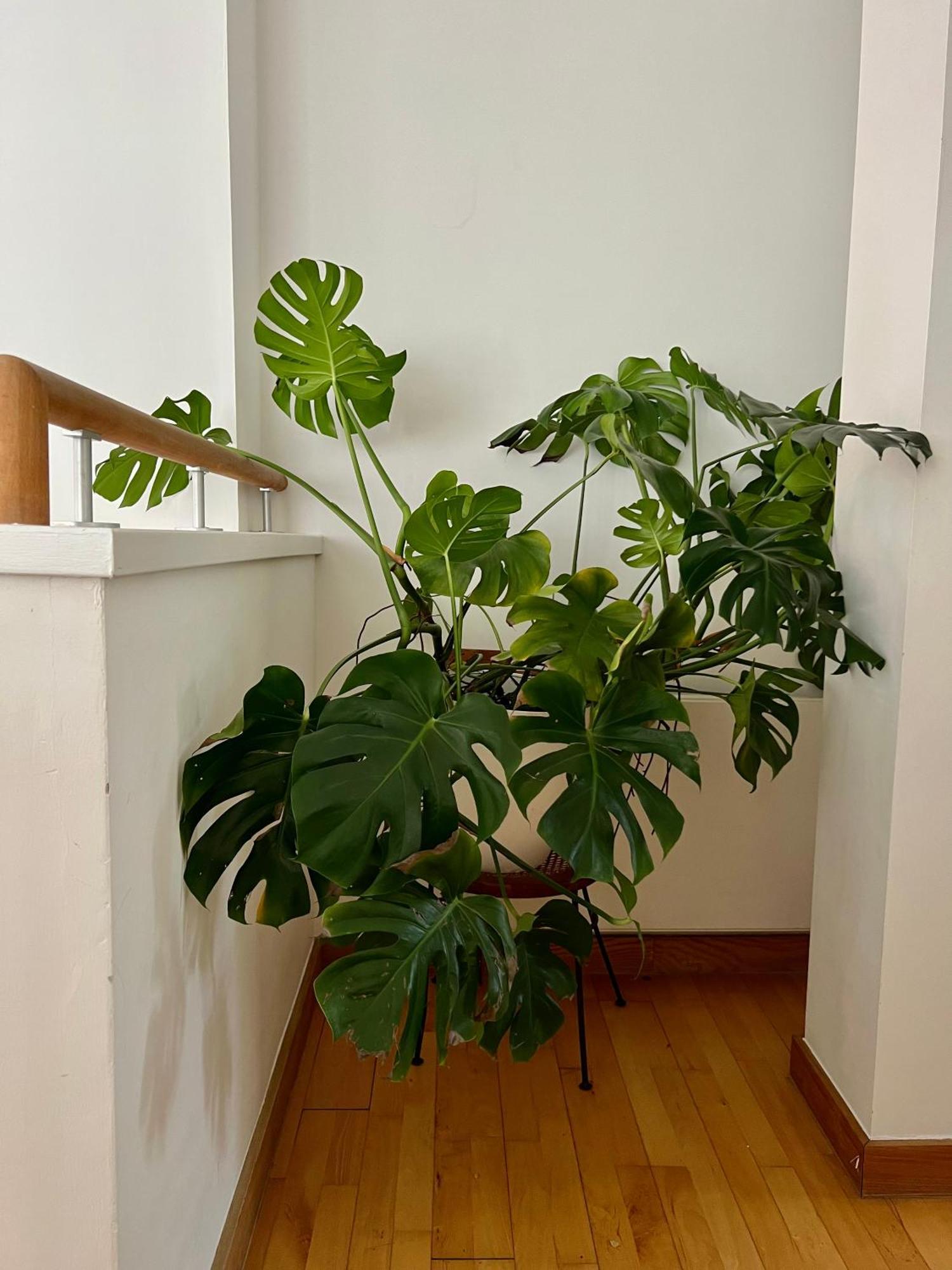 Huge For Recharge And Relaxation In Loft With Sauna In Londen