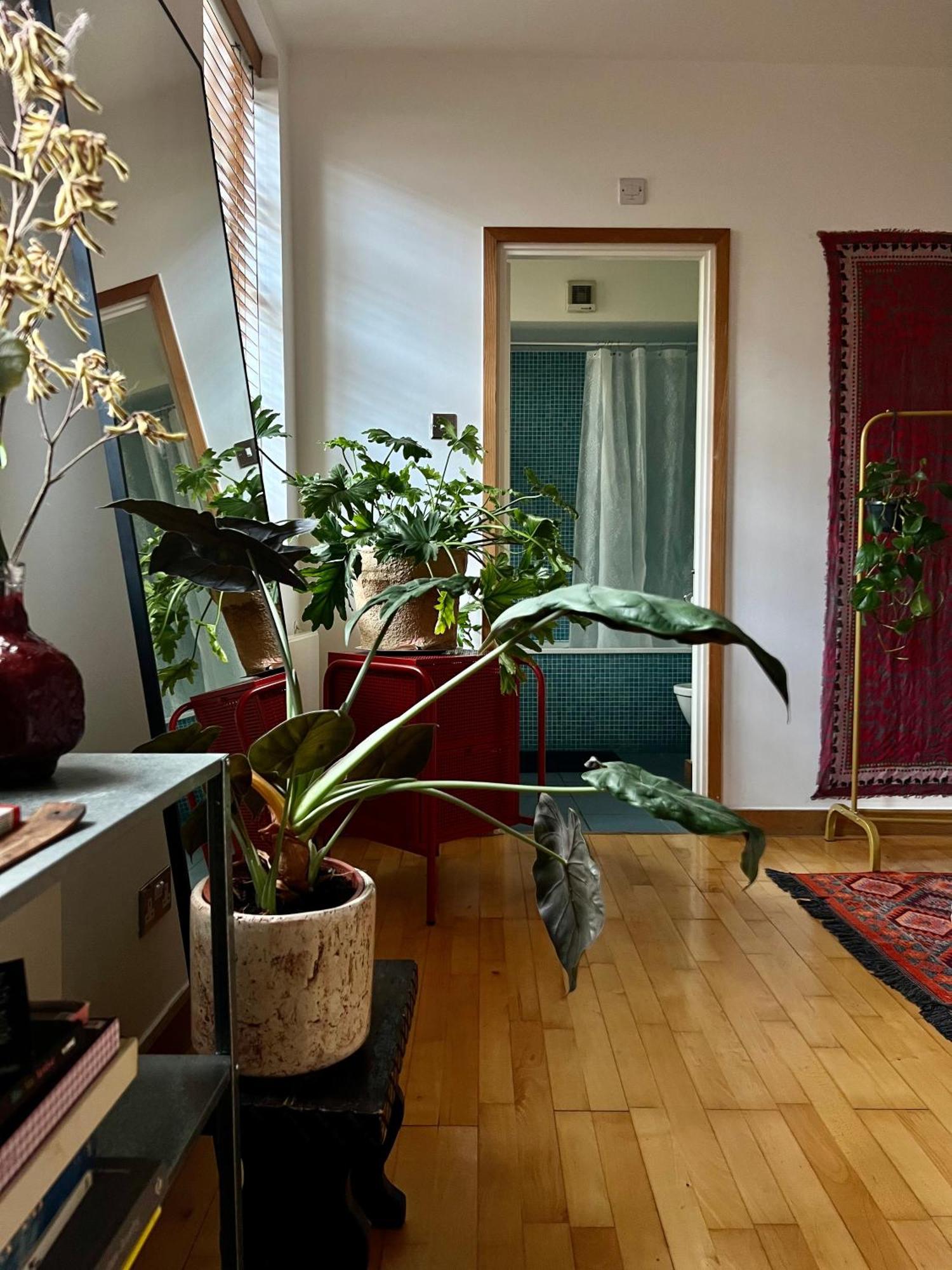 Huge For Recharge And Relaxation In Loft With Sauna In Gasthuis