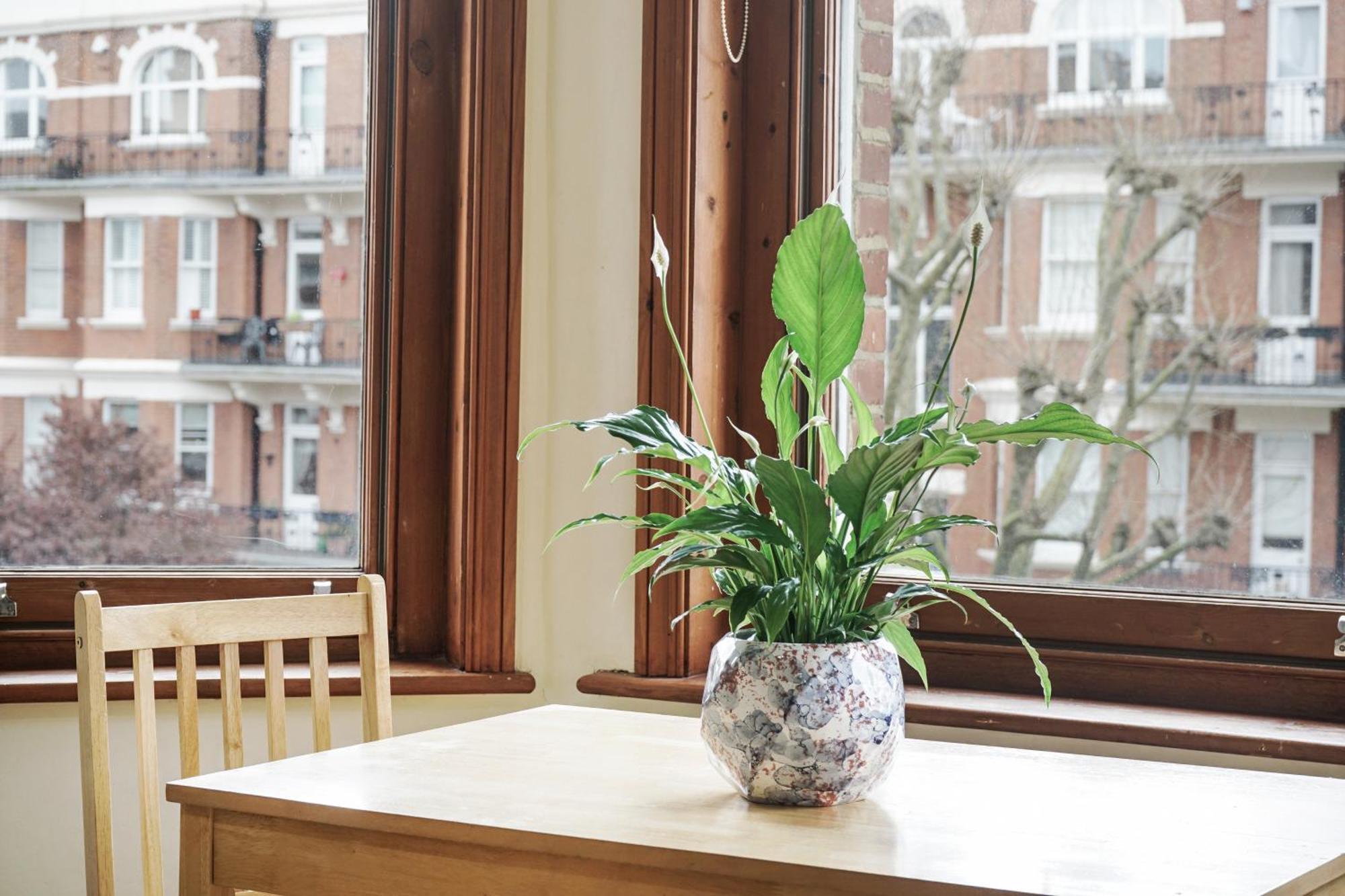 Privat bolig Elgin Avenue Hububb