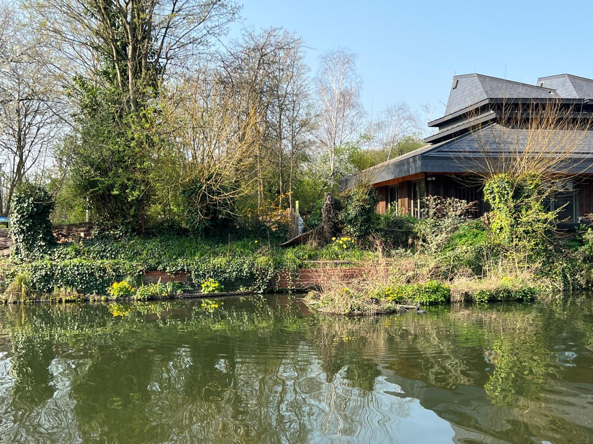 Creative Oasis In The Heart Of Maison d'hôtes