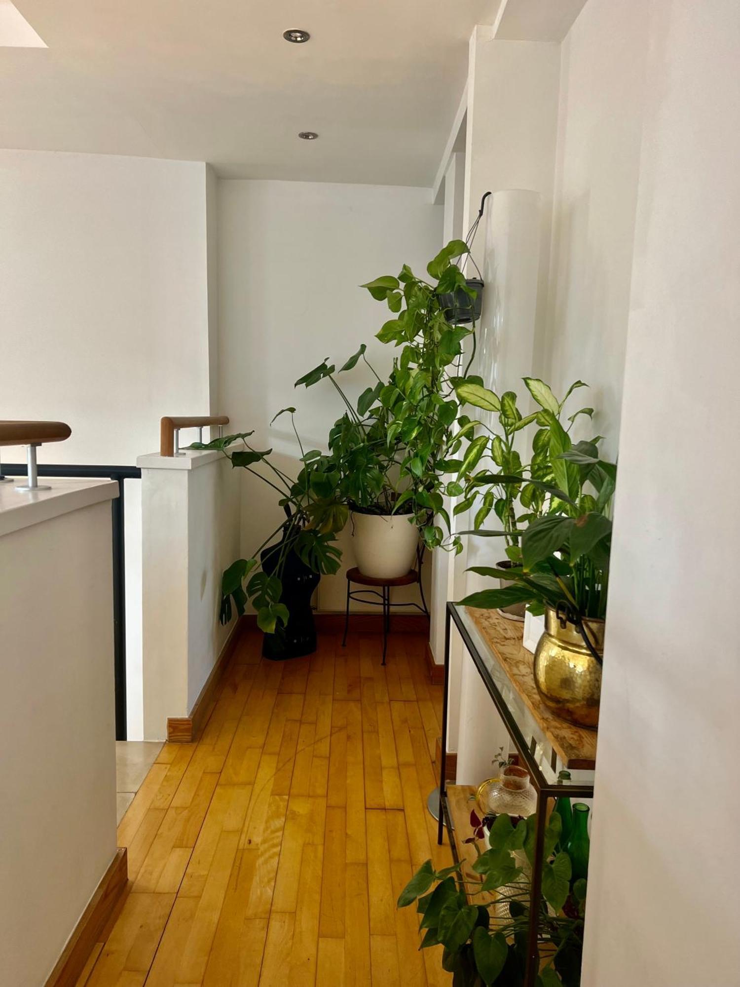 Gasthuis Huge For Recharge And Relaxation In Loft With Sauna In Londen