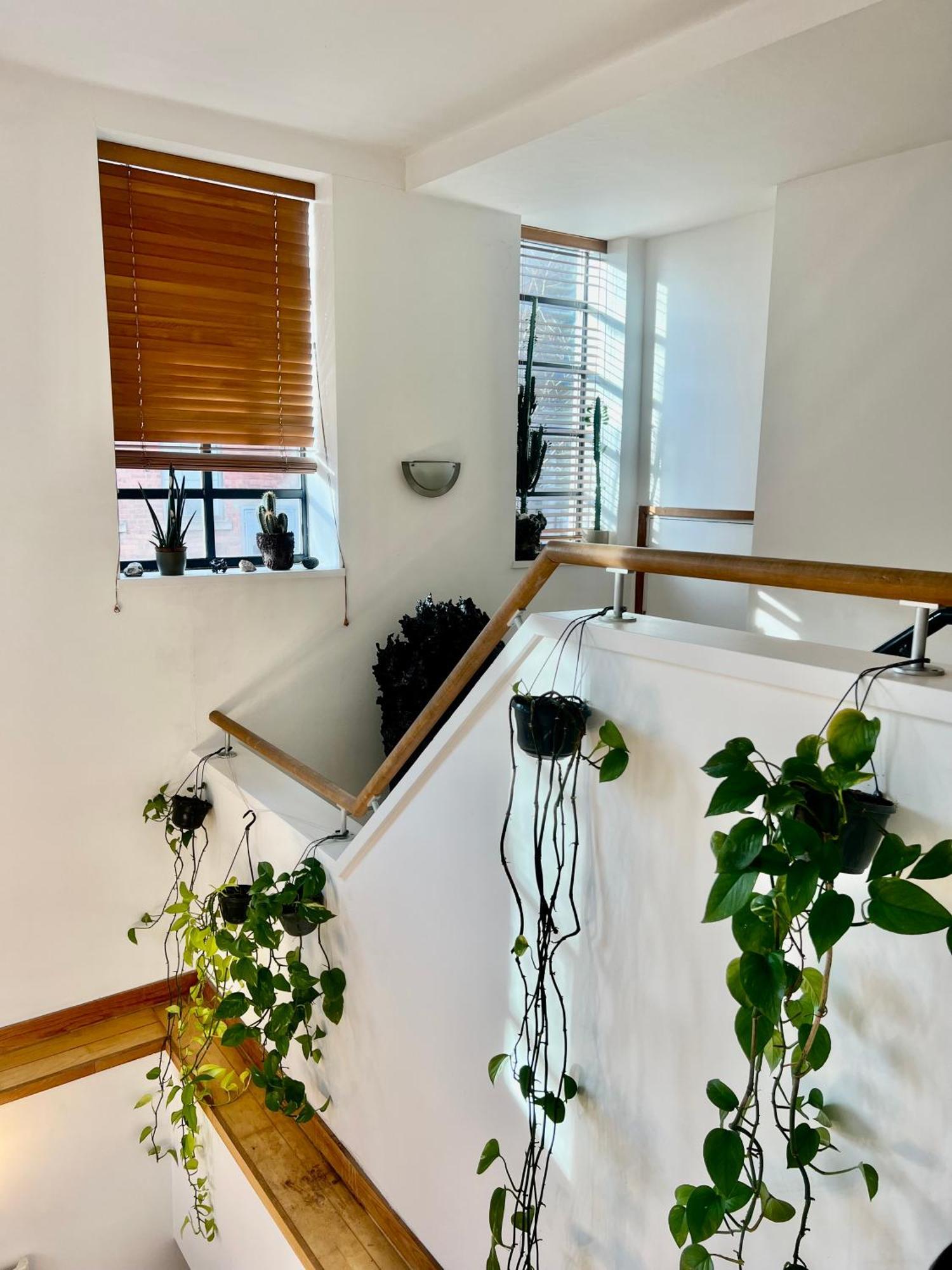 Gasthuis Huge For Recharge And Relaxation In Loft With Sauna In *