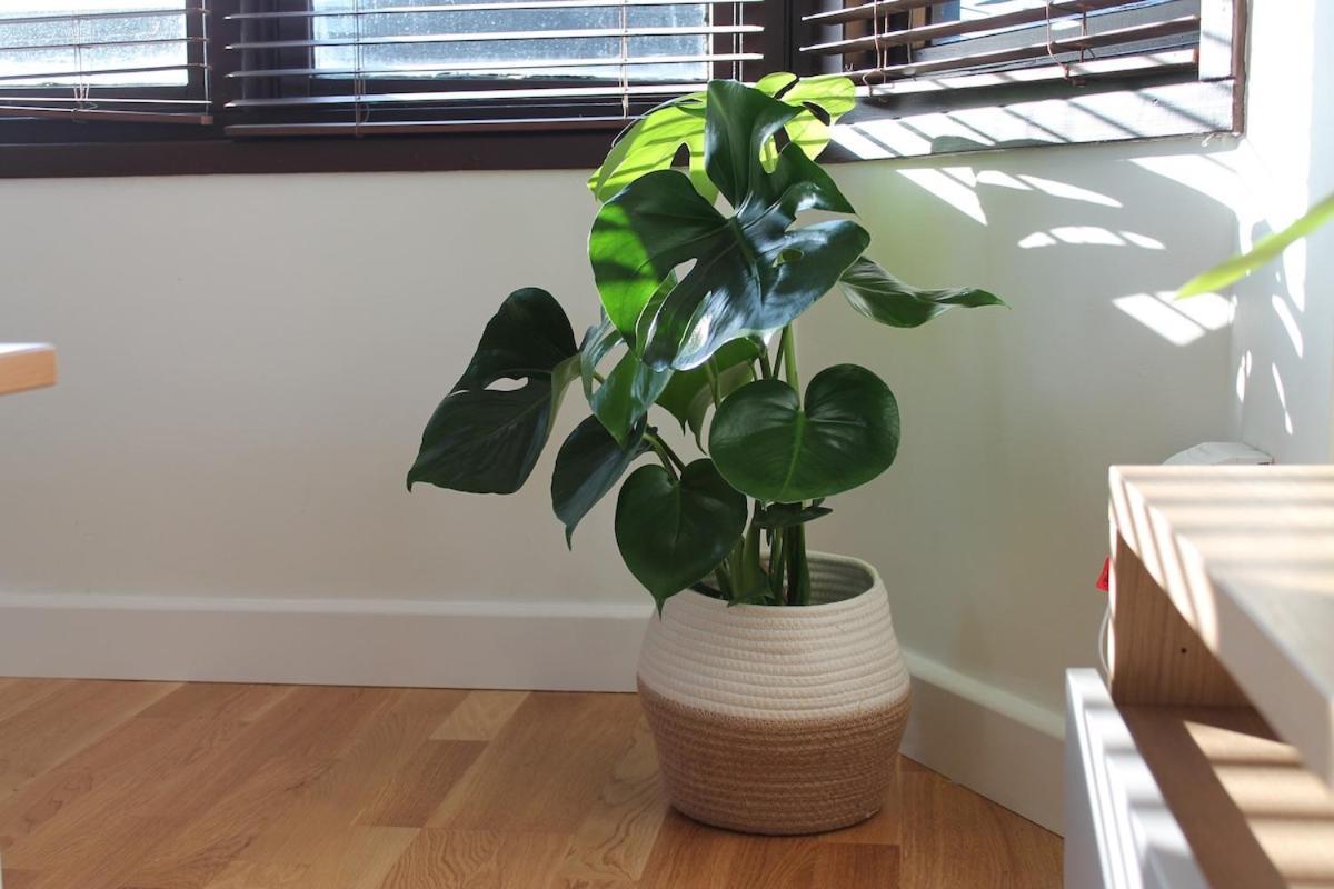 Remote Work Entire Flat 20min To Oxford St London