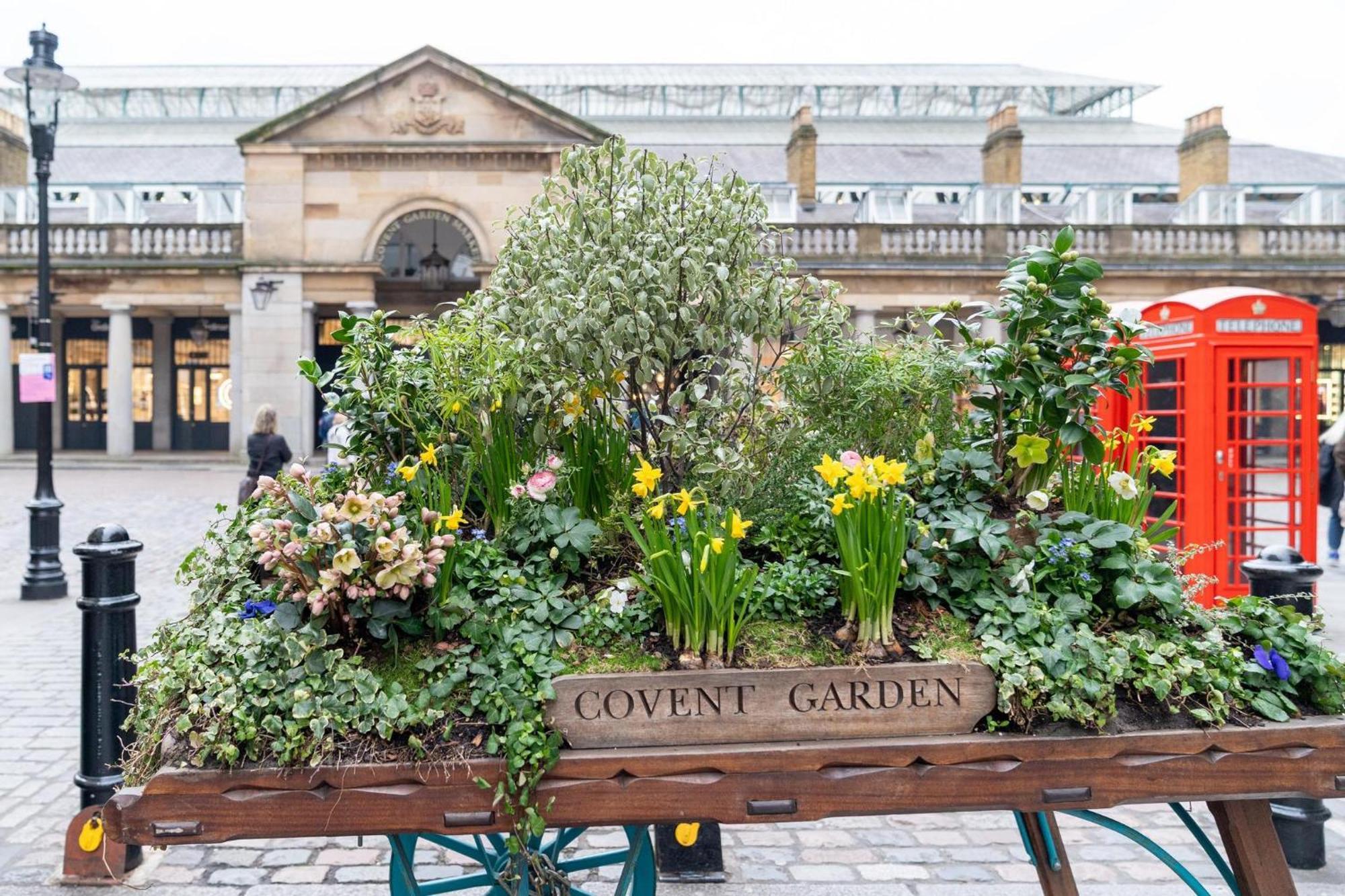 Apartment Buckingham - Heart Of Covent Garden!