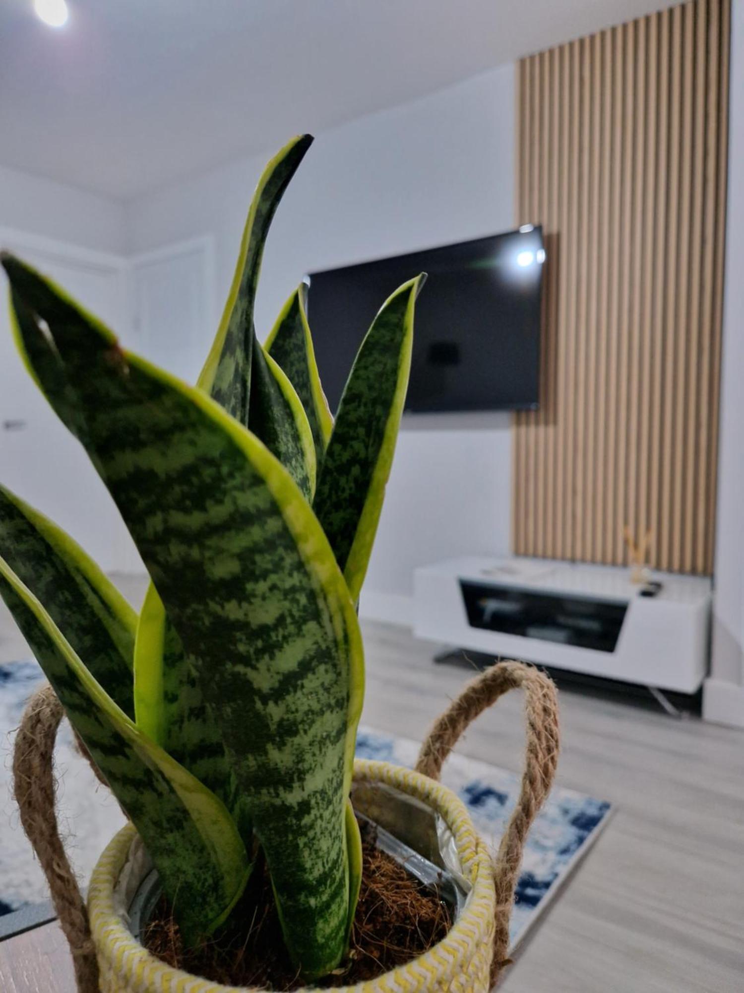 Stylish 2 Bed Home- Short Walk To Tottenham Stadium/stations Feriehus