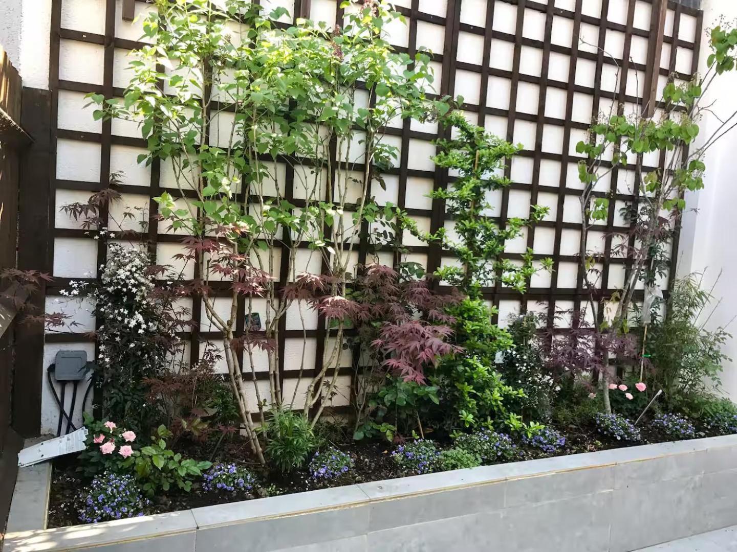 Pass The Keys - King's Cross Modern Flat With Sunny Garden Apartment