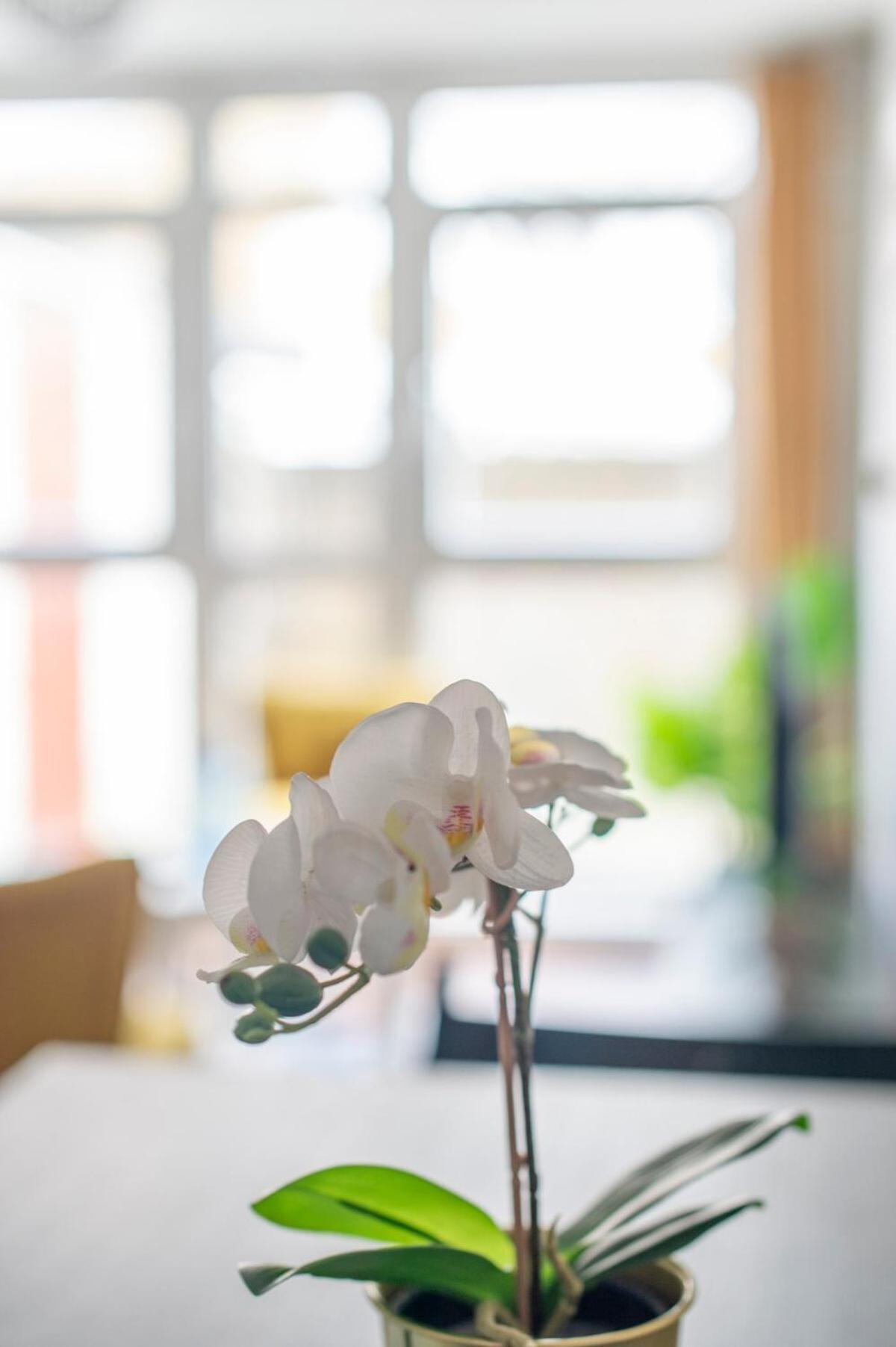 Lejlighed Lovely 2-bed 20 Mins To