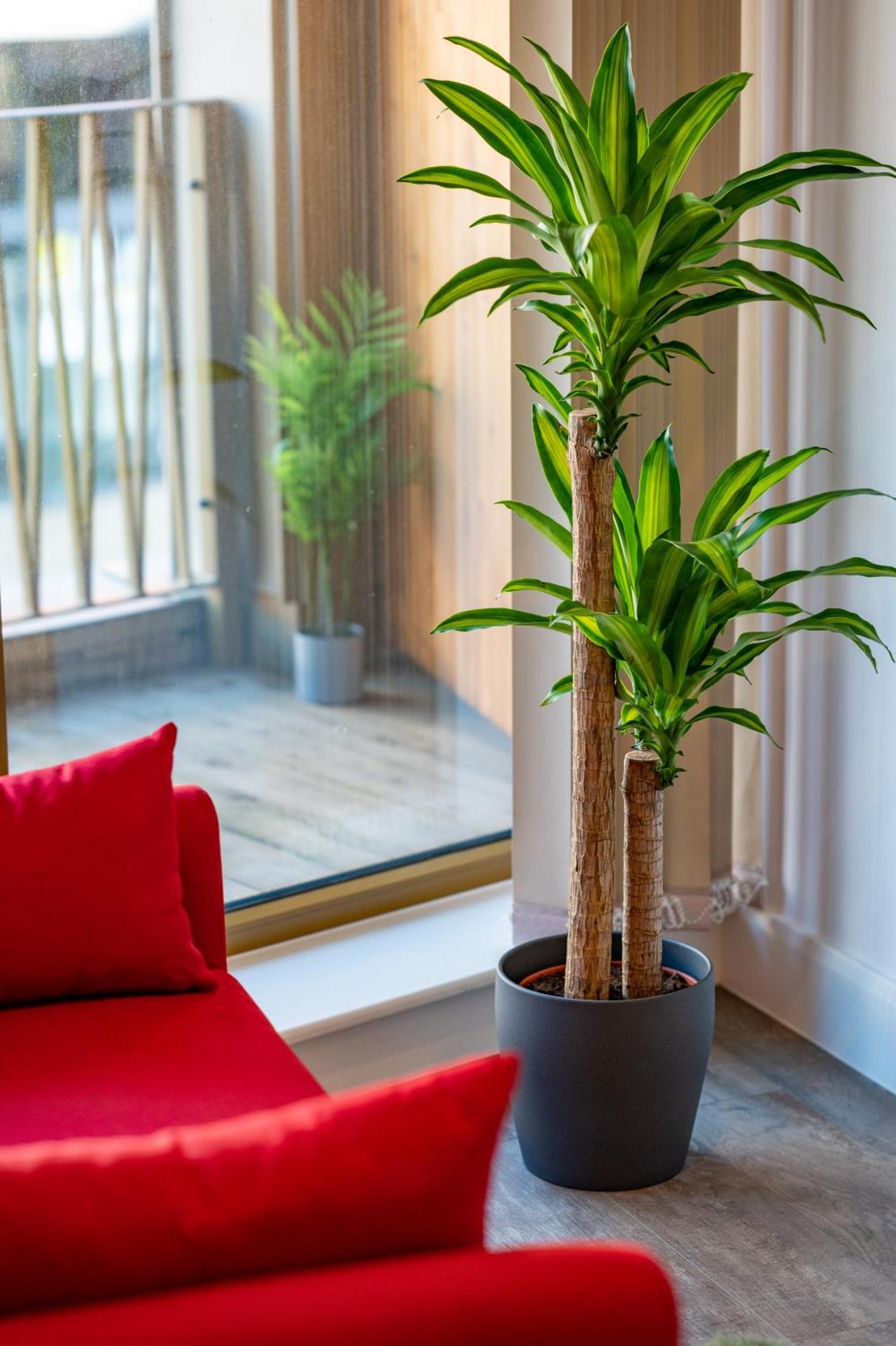 Luxe Retreat * London