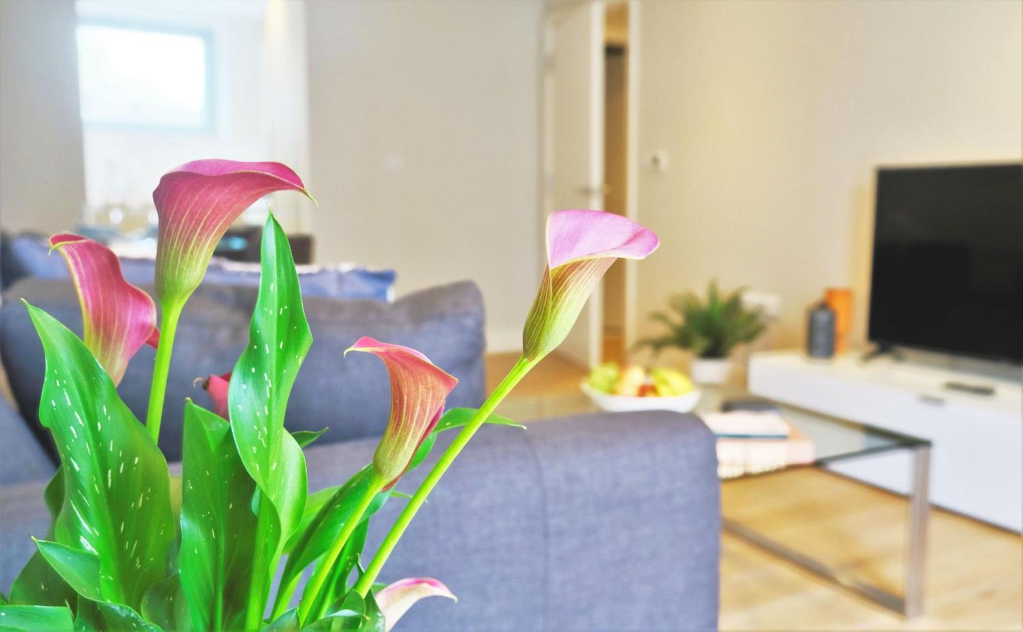 Spacious & Elegant In Southbank Near Eye Apartment