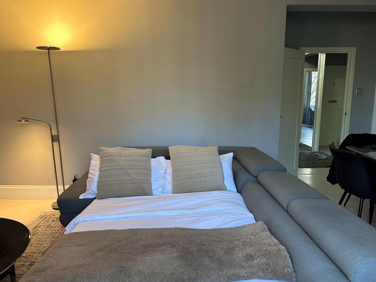 Exceptional Spacious Leilighet *