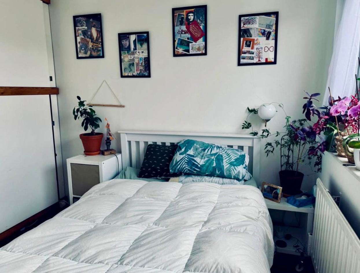 Quiet Cosy Flat In Amazing Location * London