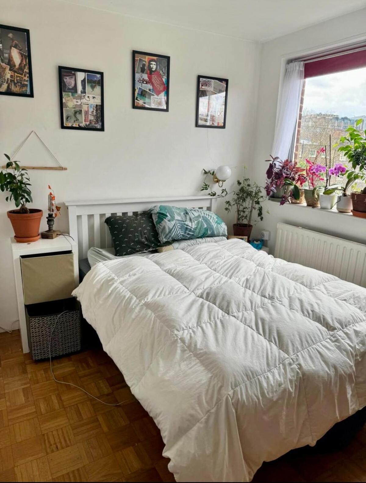 Apartment Quiet Cosy Flat In Amazing Location