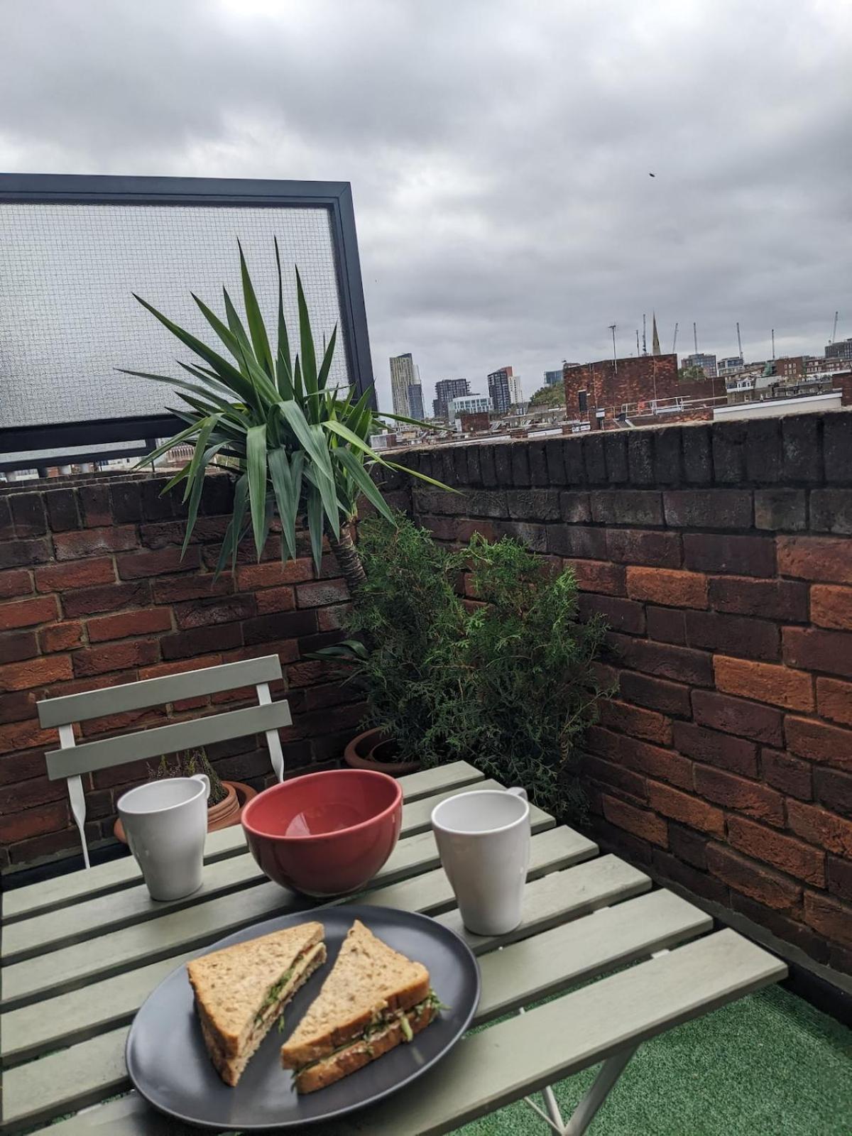 Pimlico Flat With Views Of Zone 1 Lejlighed London