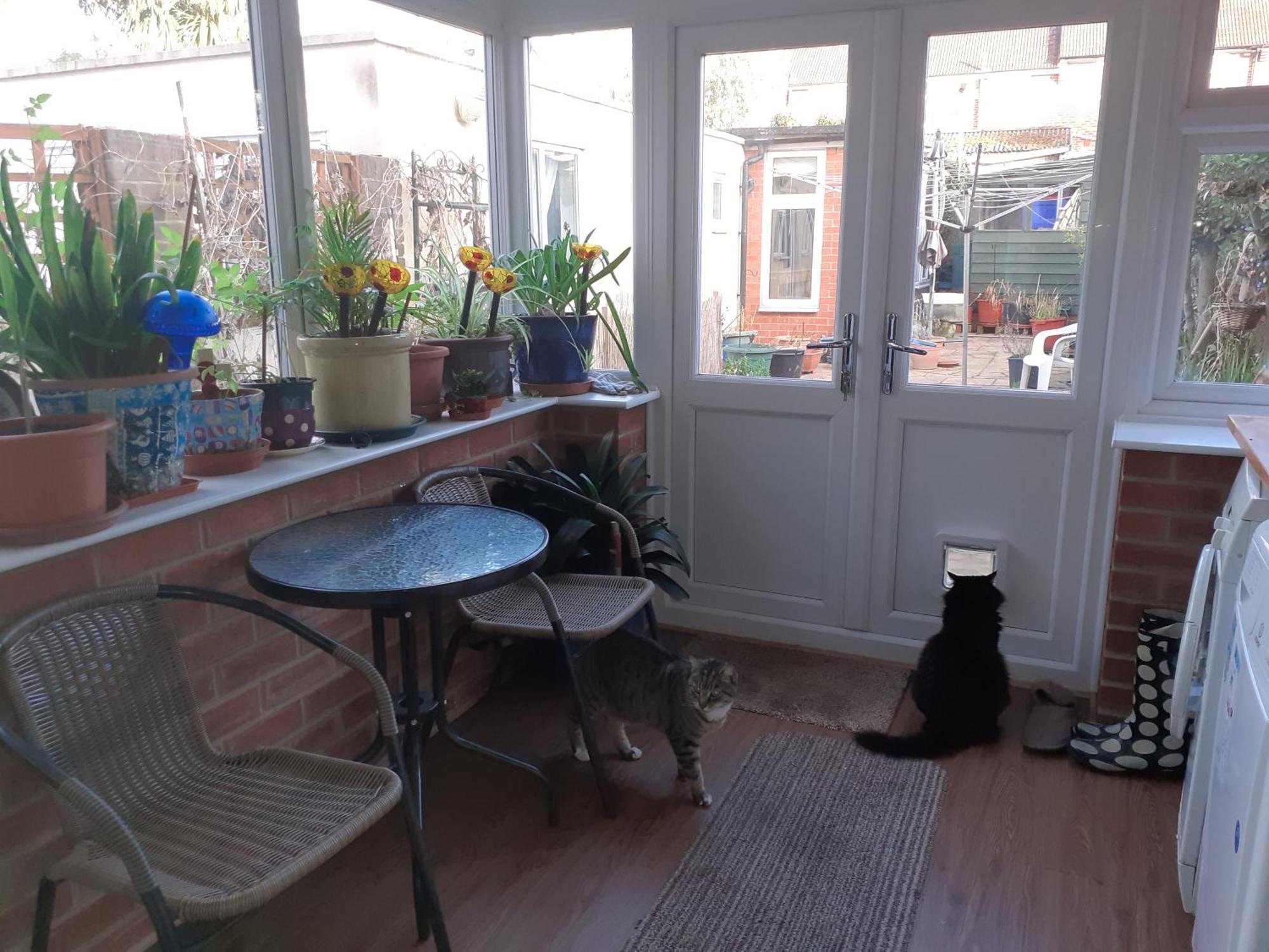 Joanne's Joint Accommodatie bij particulieren Londen