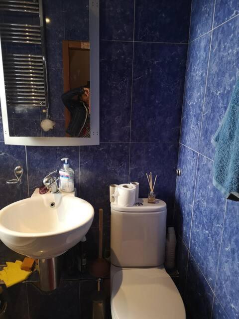 Apartment Shared Ideal For Professional Or Students In Heart Of London