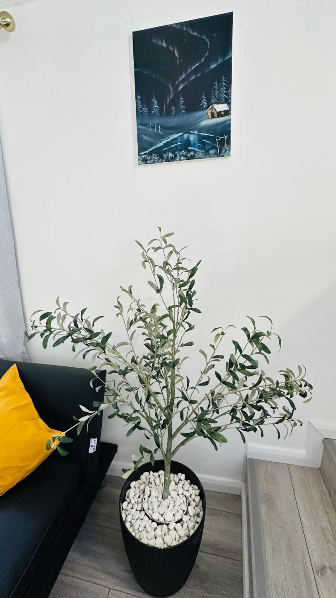 Cosy And Comfy Accommodatie bij particulieren *