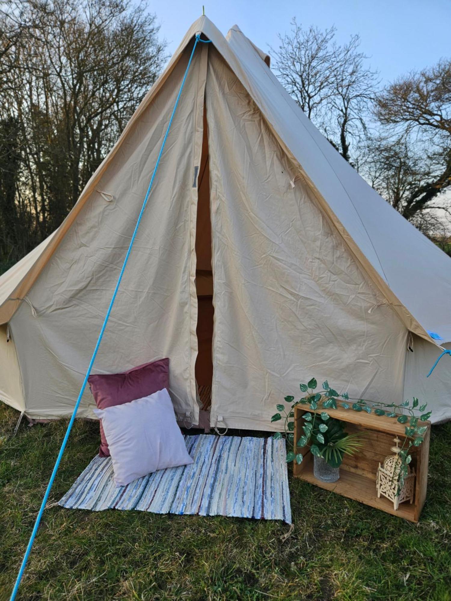 Luksustelt Readers Field Glamping